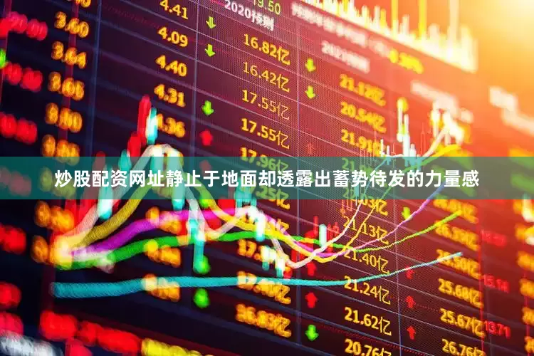 炒股配资网址静止于地面却透露出蓄势待发的力量感