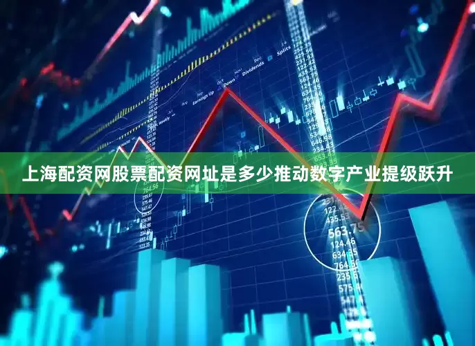 上海配资网股票配资网址是多少推动数字产业提级跃升