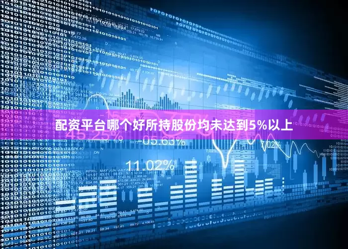 配资平台哪个好所持股份均未达到5%以上