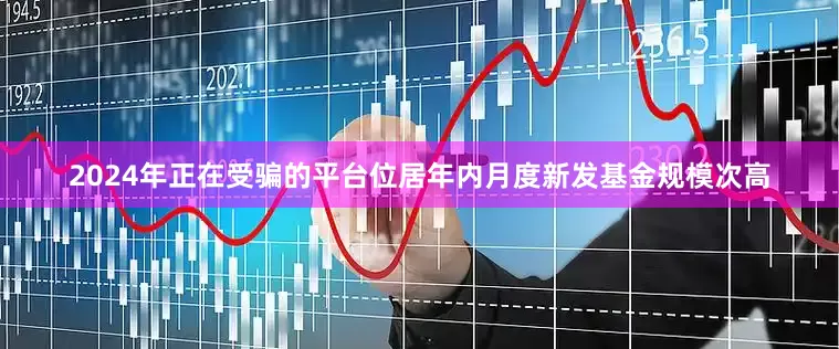 2024年正在受骗的平台位居年内月度新发基金规模次高
